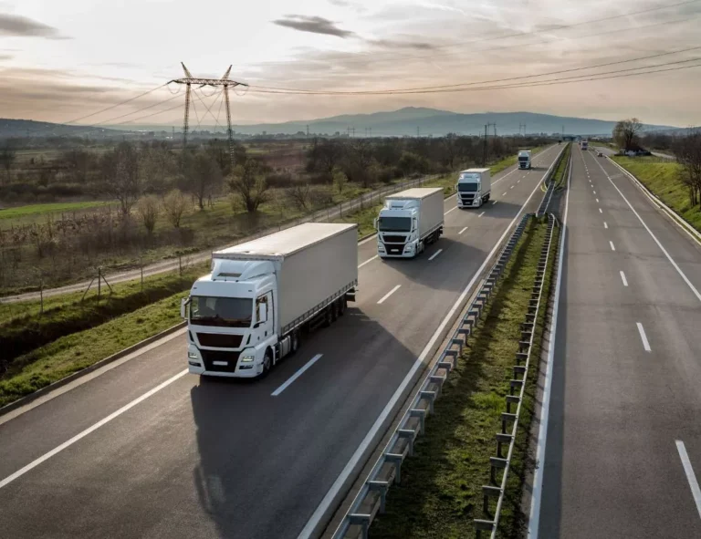 Nicolaprim Trans transport international marfa