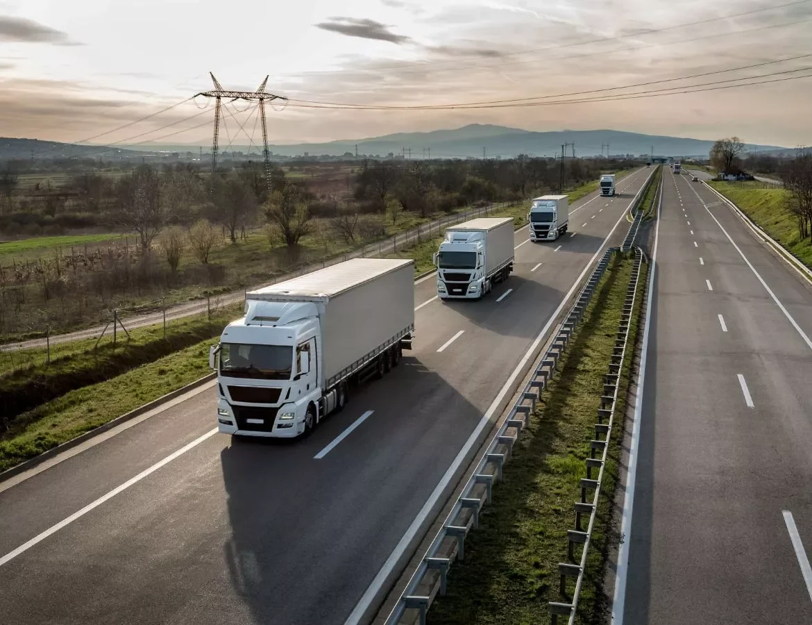 Nicolaprim Trans transport international marfa